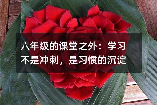 꼉(j)n֮⣺W(xu)(x)Ǜ_̣(x)Tĳ