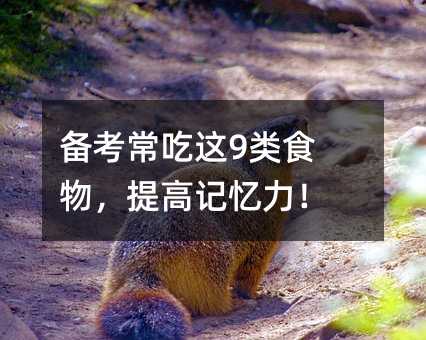 備考常吃這9類食物,提高記憶力!