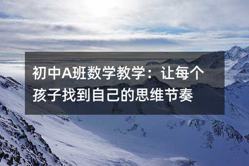 初中A班數(shù)學(xué)教學(xué):讓每個(gè)孩子找到自己的思維節(jié)奏