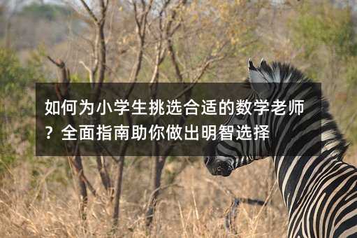 如何為小學生挑選合適的數學老師?全面指南助你做出明智選擇