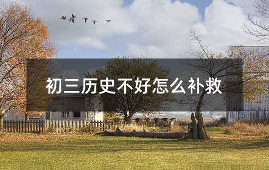 初三歷史不好怎么補救