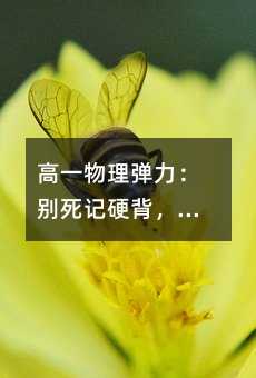 高一物理彈力:別死記硬背,搞懂這5個關鍵點,解題自然順