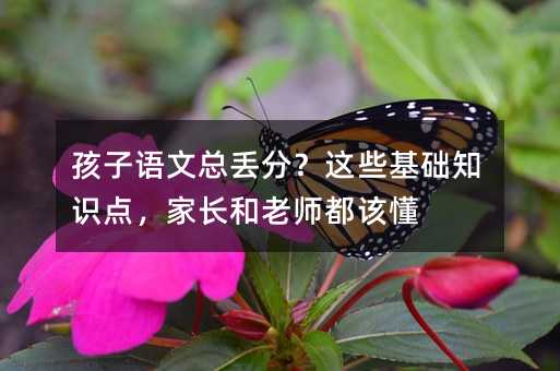 孩子語(yǔ)文總丟分?這些基礎(chǔ)知識(shí)點(diǎn),家長(zhǎng)和老師都該懂