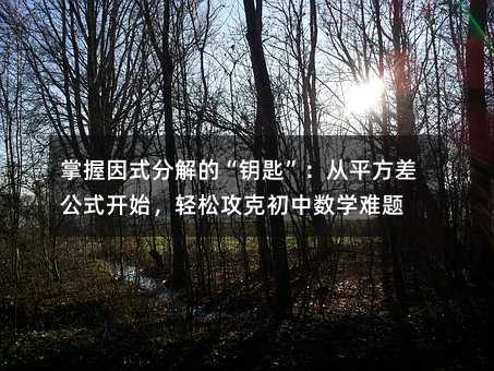 掌握因式分解的“鑰匙”:從平方差公式開始,輕松攻克初中數學難題