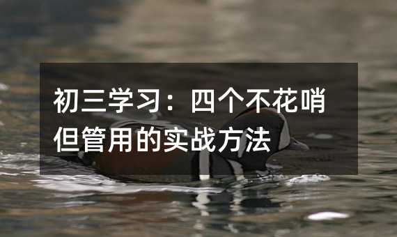 初三學習:四個不花哨但管用的實戰方法