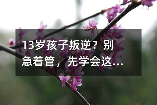 13�q�������棿�e�����ܣ��ȌW(xu��)���@�ļ���