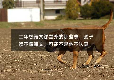 ���꼉(j��)�Z(y��)���n�������Щ�£������x�����n�������ܲ��������J(r��n)��