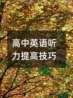 ����Ӣ�Z ����߼���