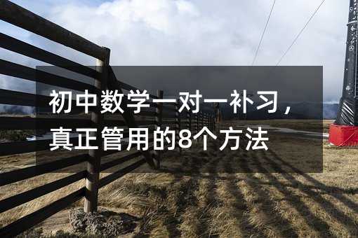 初中數學一對一補習,真正管用的8個方法