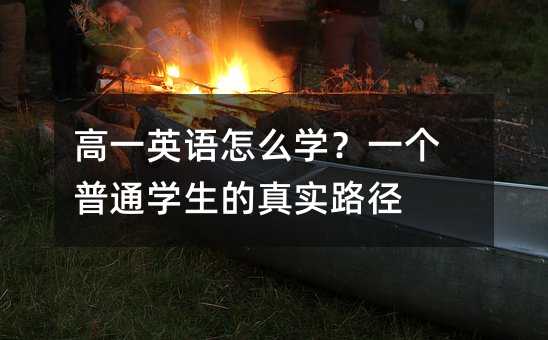 高一英語怎么學(xué)?一個普通學(xué)生的真實路徑