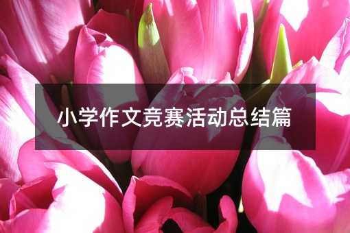 小學(xué)作文競(jìng)賽活動(dòng)總結(jié)篇