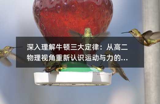 深入理解牛頓三大定律:從高二物理視角重新認識運動與力的本質
