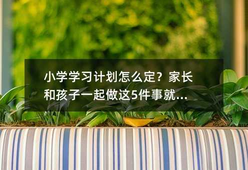 小學(xué)學(xué)習(xí)計(jì)劃怎么定?家長(zhǎng)和孩子一起做這5件事就夠了