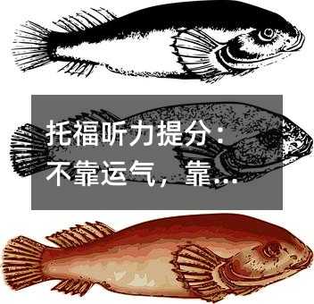 托福聽力提分:不靠運氣,靠方法