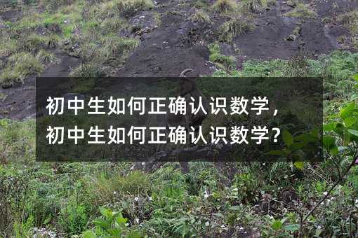 初中生如何正確認(rèn)識數(shù)學(xué),初中生如何正確認(rèn)識數(shù)學(xué)?