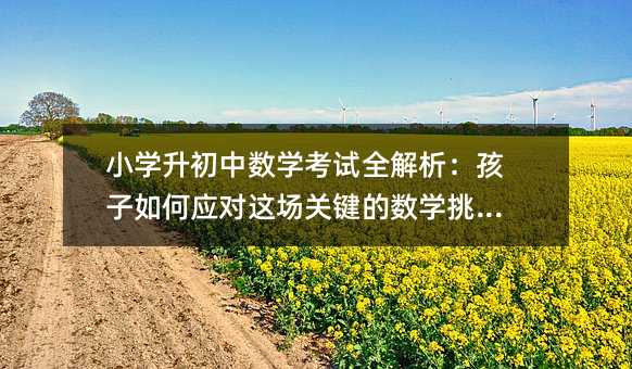 小學(xué)升初中數(shù)學(xué)考試全解析:孩子如何應(yīng)對這場關(guān)鍵的數(shù)學(xué)挑戰(zhàn)?