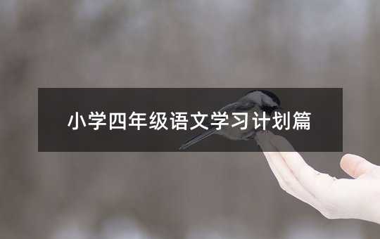 С�W���꼉�Z�ČW��Ӌ��ƪ