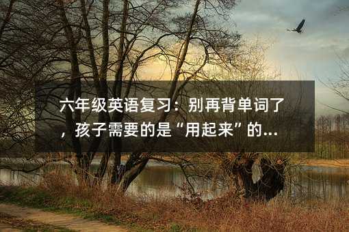 六年級(jí)英語(yǔ)復(fù)習(xí):別再背單詞了,孩子需要的是“用起來(lái)”的英語(yǔ)