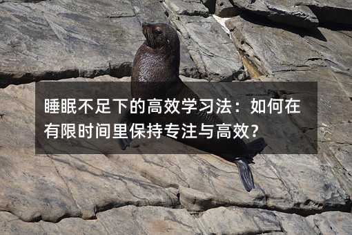 ˯�߲����µĸ�Ч�W��������������ޕr�g�ﱣ�֌�ע�c��Ч��