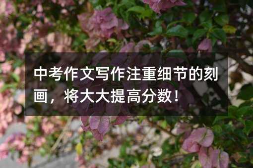 中考作文寫(xiě)作注重細(xì)節(jié)的刻畫(huà),將大大提高分?jǐn)?shù)!