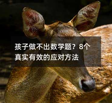 孩子做不出數學題?8個真實有效的應對方法