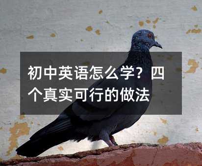 初中英語(yǔ)怎么學(xué)?四個(gè)真實(shí)可行的做法