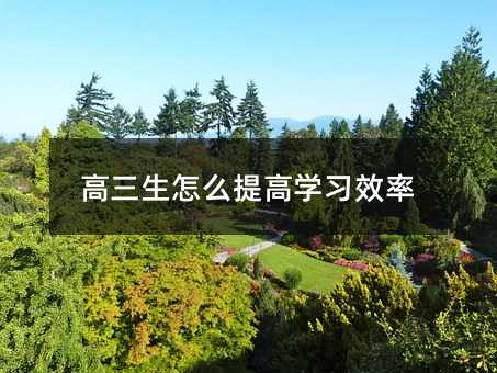 高三生怎么提高學(xué)習(xí)效率