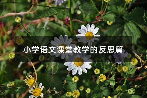 小學語文課堂教學的反思篇
