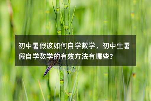 �������ԓ����ԌW(xu��)��(sh��)�W(xu��)������������ԌW(xu��)��(sh��)�W(xu��)����Ч��������Щ��