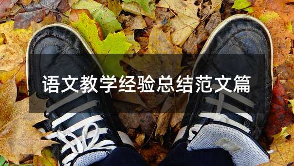 語文教學經驗總結范文篇