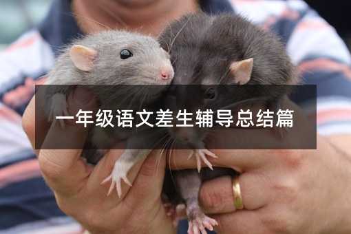 һ�꼉�Z�Ĳ����o�����Yƪ