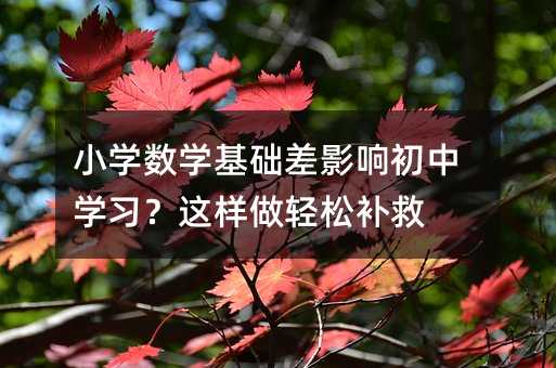 小學數學基礎差影響初中學習?這樣做輕松補救