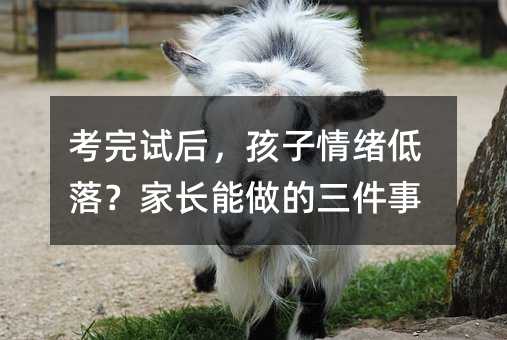 考完試后,孩子情緒低落?家長能做的三件事