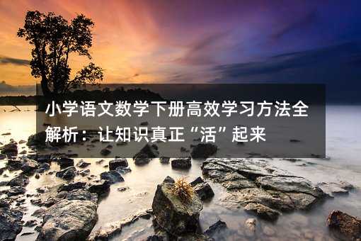 小學語文數學下冊高效學習方法全解析:讓知識真正“活”起來