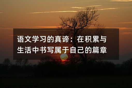 語文學習的真諦:在積累與生活中書寫屬于自己的篇章