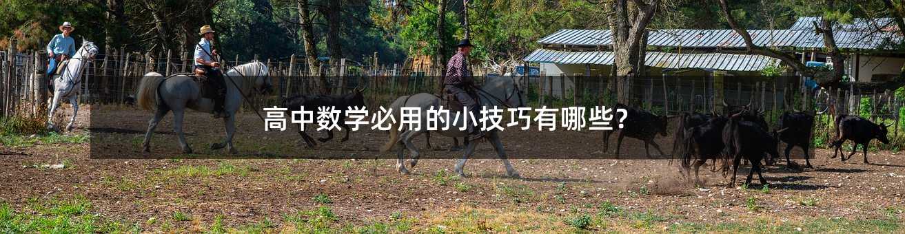 ���Д��W���õ�С��������Щ��