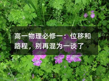 高一物理必修一:位移和路程,別再混為一談了