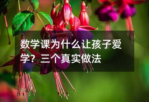 數學課為什么讓孩子愛學?三個真實做法