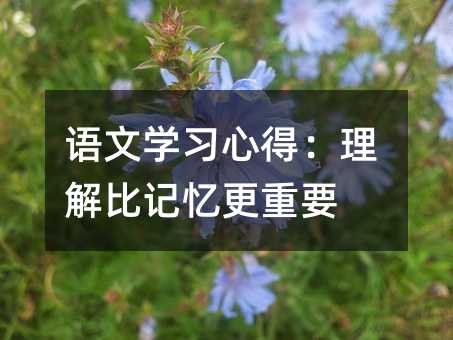 �Z�ČW���ĵã������ӛ������Ҫ