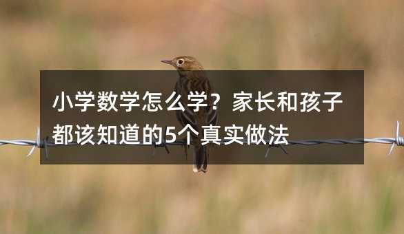 小學(xué)數(shù)學(xué)怎么學(xué)?家長(zhǎng)和孩子都該知道的5個(gè)真實(shí)做法