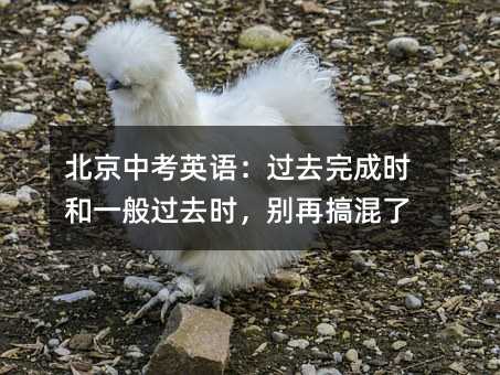 �����п�Ӣ�Z���^ȥ��ɕr��һ���^ȥ�r���e�ٸ����