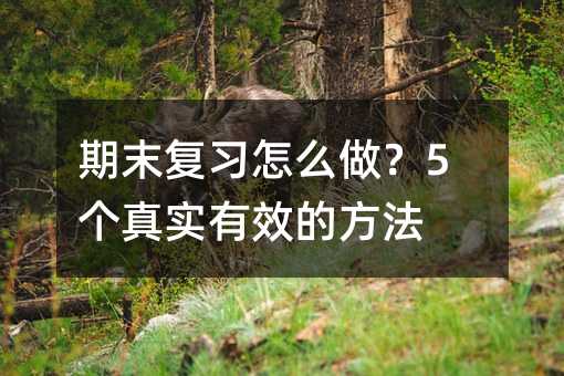 ��ĩ������ô����5���挍��Ч�ķ���