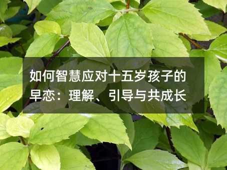 如何智慧應(yīng)對(duì)十五歲孩子的早戀:理解、引導(dǎo)與共成長(zhǎng)