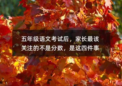 五年級語文考試后,家長最該關注的不是分數,是這四件事
