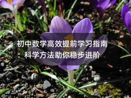 初中數學高效提前學習指南:科學方法助你穩步進階