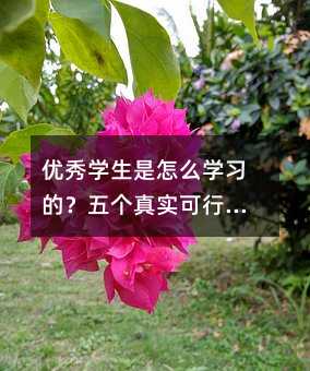 ����W������ô�W���ģ��傀�挍���е����T