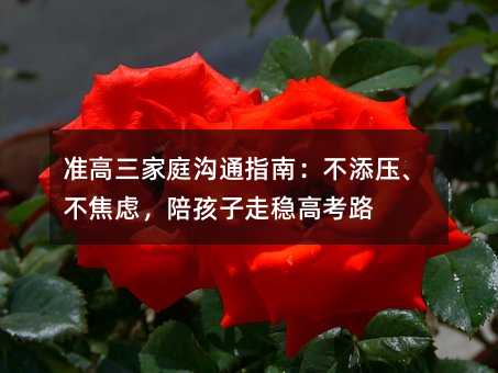 準高三家庭溝通指南:不添壓、不焦慮,陪孩子走穩高考路