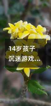 14歲孩子沉迷游戲,家長能做些什么?