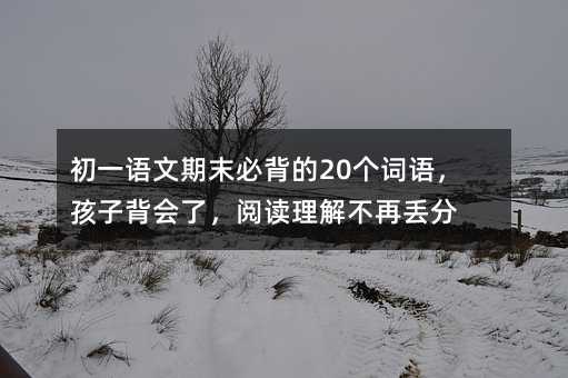 ��һ�Z����ĩ�ر���20���~�Z�����ӱ���������x���ⲻ�فG��