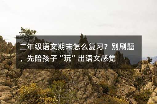 二年級(jí)語文期末怎么復(fù)習(xí)?別刷題,先陪孩子“玩”出語文感覺